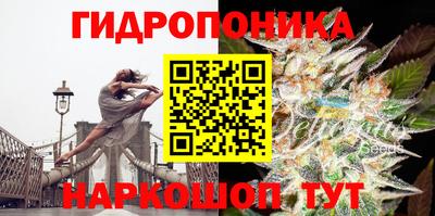прущие грибы Ликино-Дулёво