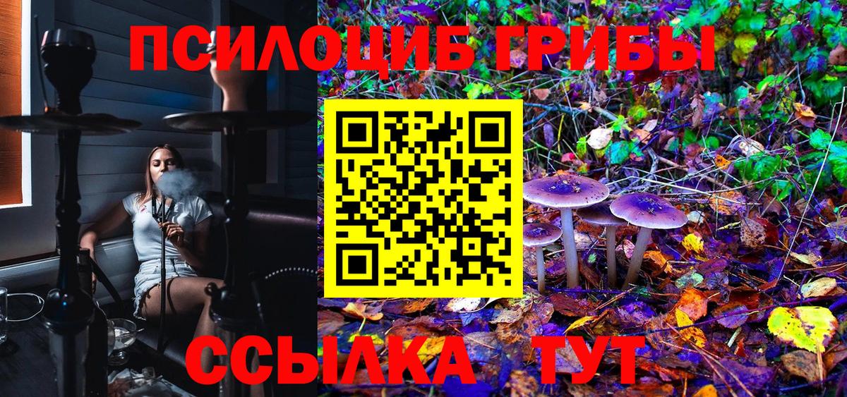 Арзамас  Галлюциногенные грибы прущие грибы  Псилоцибиновые грибы Cubensis  Вход с VPN 