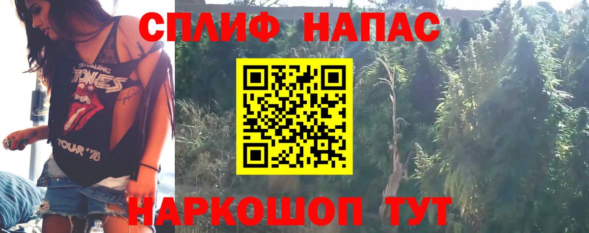 Конопля план Арзамас